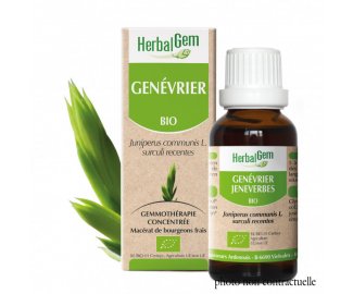 Bourgeon GENEVRIER BIO - 30ml