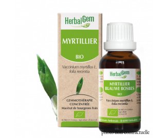 Bourgeon MYRTILLIER BIO - 30ml