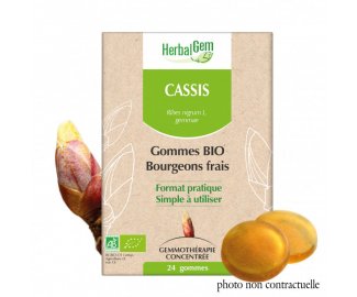 Gommes Bourgeon CASSIS BIO 