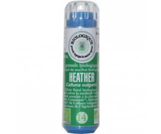 HEATHER en granules 6g