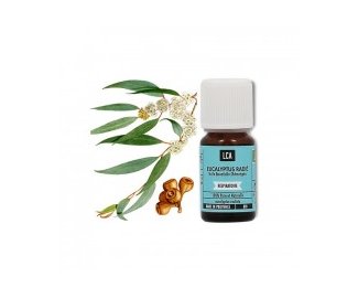 Huile essentielle EUCALYPTUS RADIATA BIO 