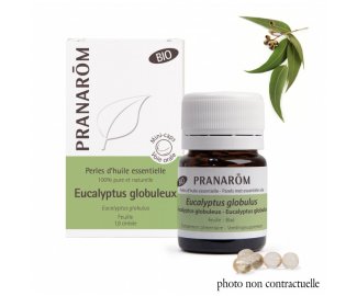 Perles EUCALYPTUS GLOBULUS Bio 