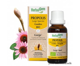 PROPOLIS LARGE SPECTRE BIO - 15ml