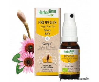 PROPOLIS LARGE SPECTRE BIO Spray - 15ml