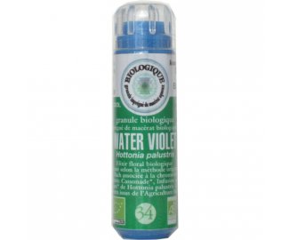 WATER VIOLET en granules 6g