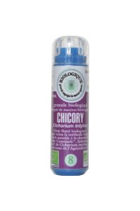 CHICORY en granules 6g