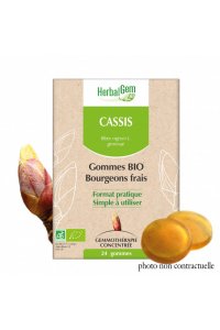 Gommes Bourgeon CASSIS BIO 