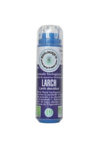 LARCH en granules 6g