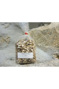 PISSENLIT Racine 100g