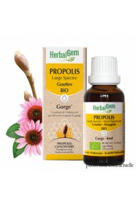 PROPOLIS LARGE SPECTRE BIO - 15ml