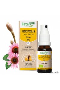 PROPOLIS LARGE SPECTRE BIO Spray - 15ml