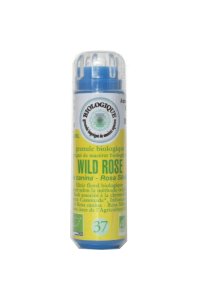 WILD ROSE en granules 6g